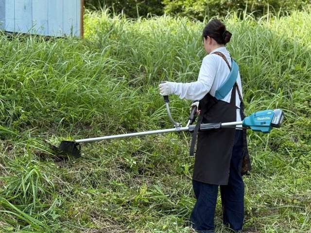 makitaレンタル用充電式草刈り機MUR195UDZを使って庭の草を刈る女性