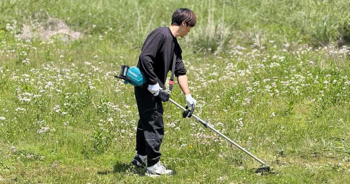 草刈り機を使い広い庭の草を刈る次男坊